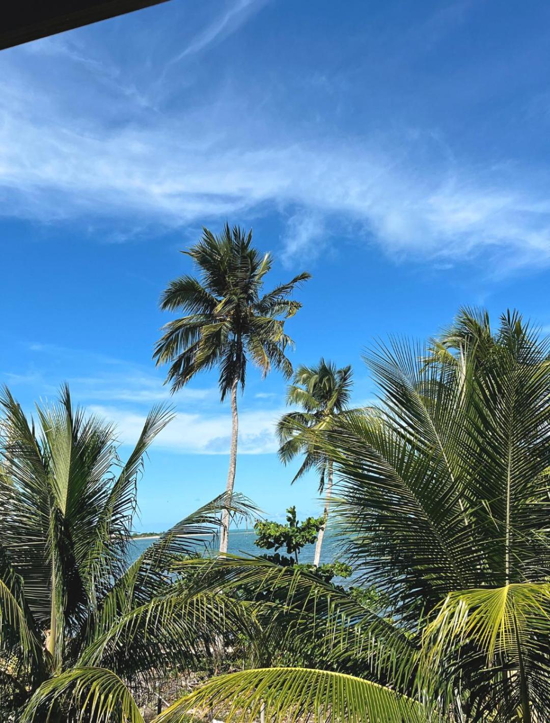 Suites Ventos E Velas Praia Pôrto de Pedras Exterior foto